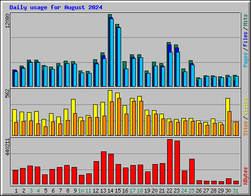Daily usage for August 2024