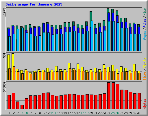 Daily usage for January 2025