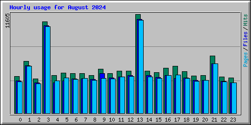 Hourly usage for August 2024