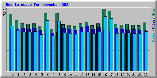 Hourly usage for November 2024