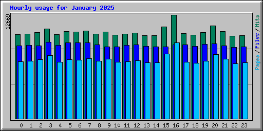 Hourly usage for January 2025